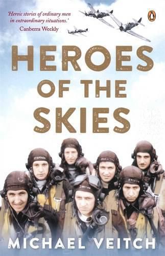 Cover image for Heroes of the Skies
