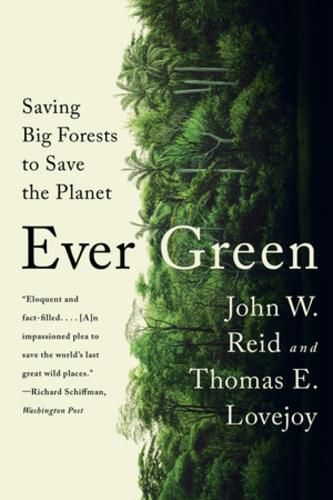 Cover image for Ever Green: Saving Big Forests to Save the Planet