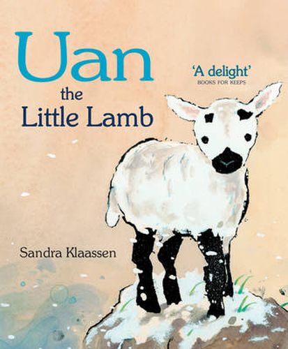 Cover image for Uan the Little Lamb