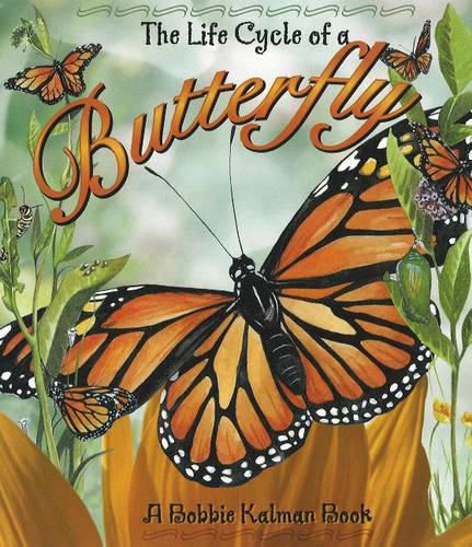 Cover image for Life Cycle of a Butterfly