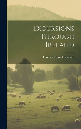 Cover image for Excursions Through Ireland