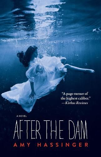 Cover image for After the Dam