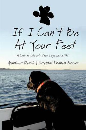 Cover image for If I Can't Be at Your Feet