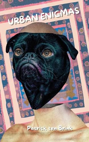 Cover image for Urban Enigmas