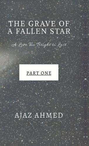 Cover image for The Grave of a Fallen Star