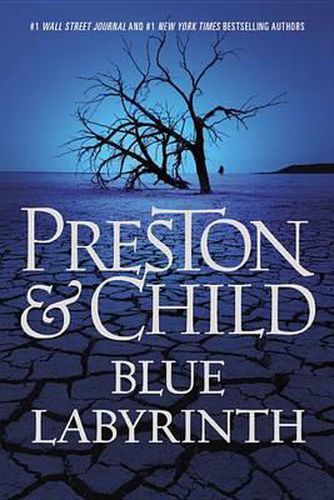 Cover image for Blue Labyrinth