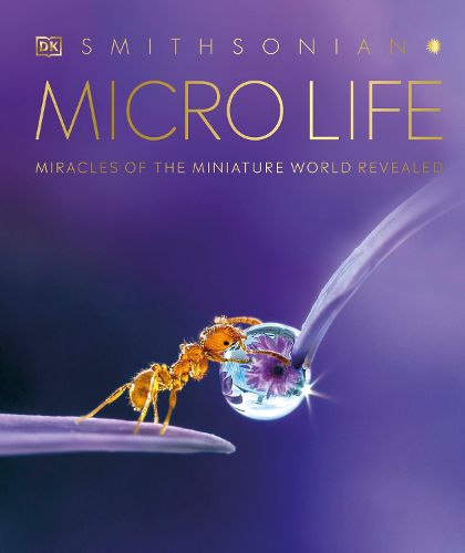 Cover image for Micro Life: Miracles of the Miniature World Revealed