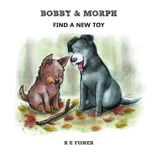 Bobby & Morph: Find a New Toy