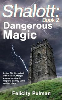 Cover image for Shalott: Dangerous Magic