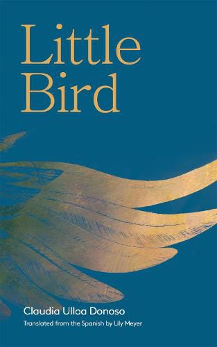 Cover image for Little Bird