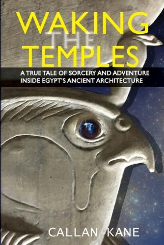 Cover image for Waking The Temples