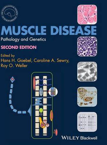 Cover image for Muscle Disease - Pathology and Genetics