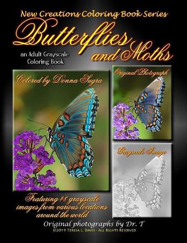 Cover image for New Creations Coloring Book Series