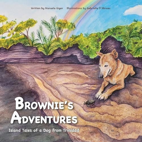Cover image for Brownie's Adventures