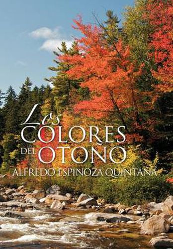 Cover image for Los Colores del Oto O