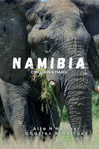Cover image for Namibia