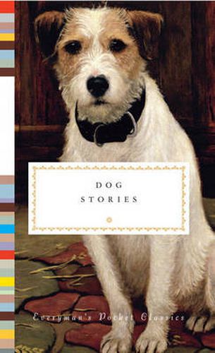 Cover image for Dog Stories