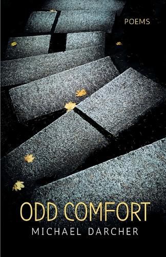 Cover image for Odd Comfort