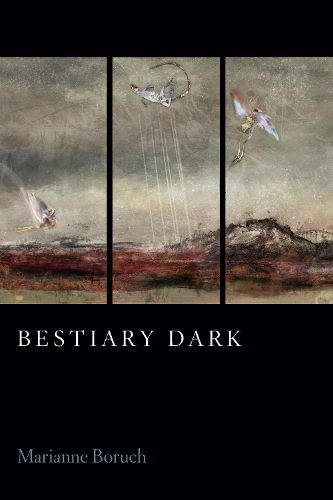 Cover image for Bestiary Dark