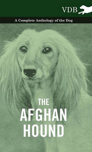 Cover image for The Afghan Hound - A Complete Anthology of the Dog -