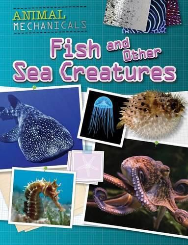 Cover image for Fish and Other Sea Creatures