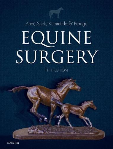 Equine Surgery