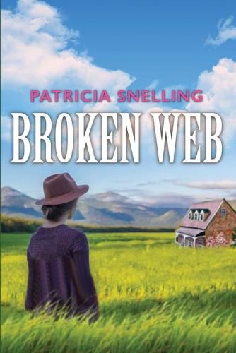 Cover image for Broken Web