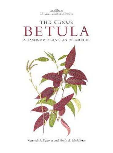 Cover image for Botanical Magazine Monograph: The Genus Betula: A Taxonomic Revision of Birches