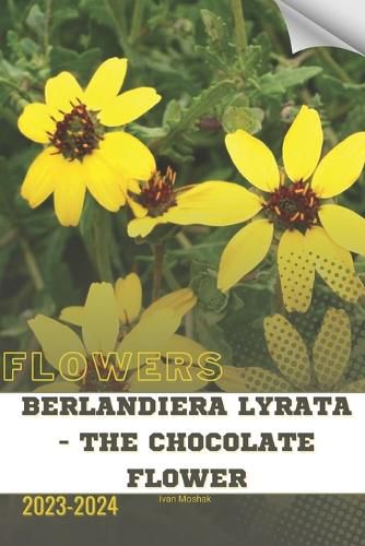 Berlandiera Lyrata - The Chocolate Flower