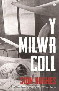 Cover image for Milwr Coll, Y