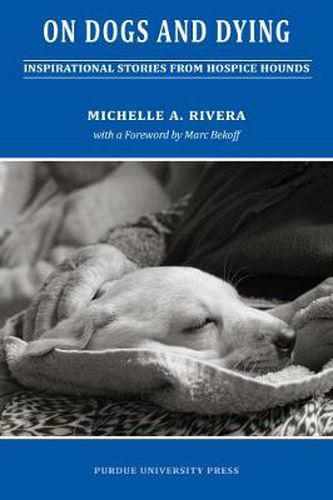 Cover image for On Dogs and Dying: Stories of Hospice Hounds