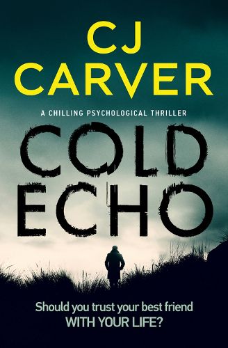 Cover image for Cold Echo: A Chilling Psychological Thriller