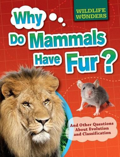 Cover image for Why Do Mammals Have Fur?: And Other Questions about Evolution and Classification