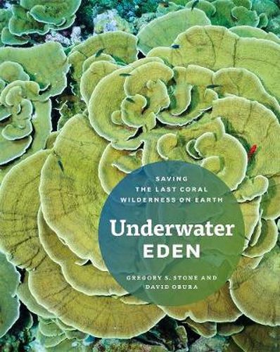 Cover image for Underwater Eden