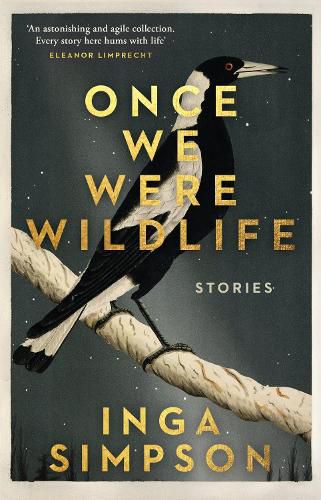 Cover image for Once We Were Wildlife: Stories