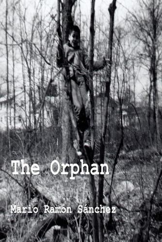 Cover image for The Orphan