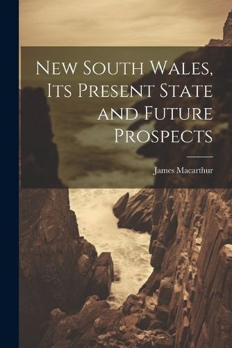 Cover image for New South Wales, Its Present State and Future Prospects