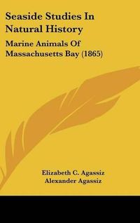 Cover image for Seaside Studies In Natural History: Marine Animals Of Massachusetts Bay (1865)