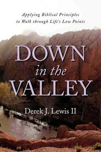 Cover image for Down in the Valley