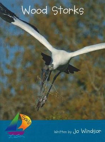 Sails Fluency Turquoise: Wood Storks