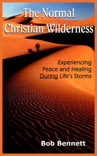 Cover image for The Normal Christian Wilderness: Experiencing Peace and Healing During Life's Storms