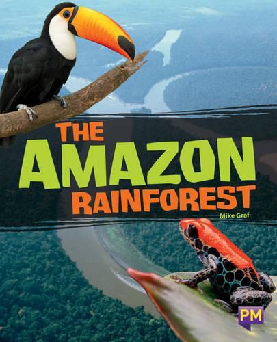 Cover image for The Amazon Rainforest