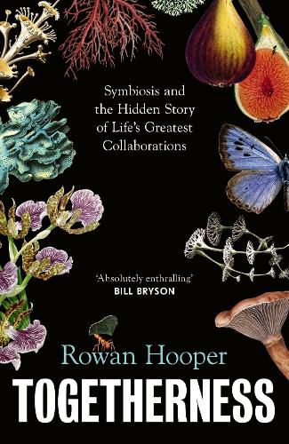 Cover image for Togetherness