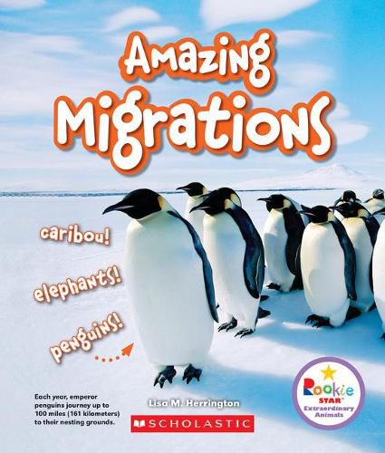 Cover image for Amazing Migrations: Caribou! Elephants! Penguins! (Rookie Star: Extraordinary Animals)