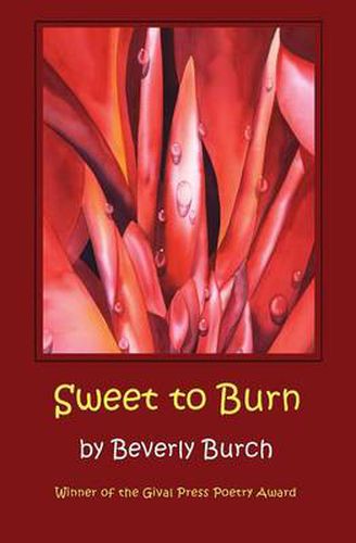 Cover image for Sweet to Burn