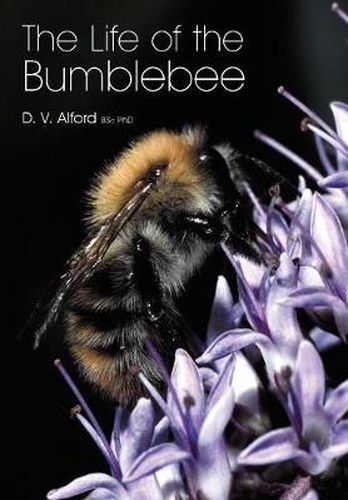 Cover image for The Life of the bumblebee