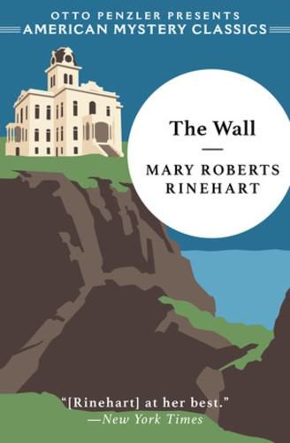 Cover image for The Wall