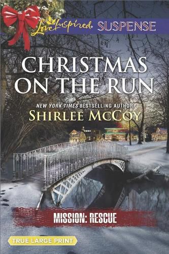 Cover image for Christmas on the Run