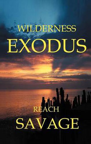 Cover image for Wilderness Exodus