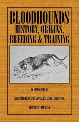 Cover image for Bloodhounds: History - Origins - Breeding - Training